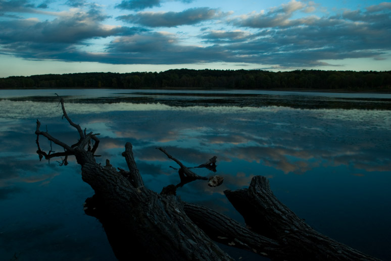 mendon pond